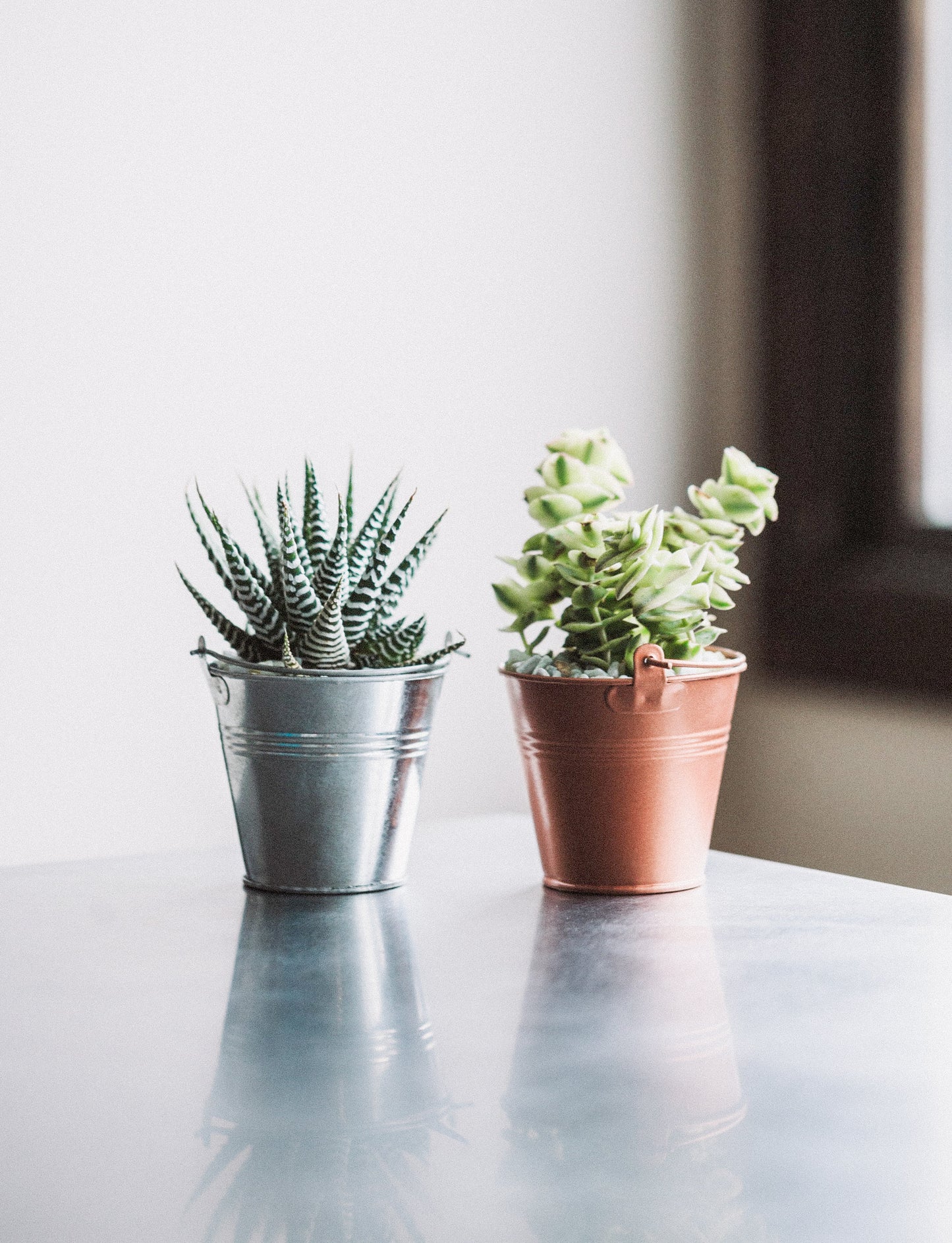 Mini Tin Succulent Planter