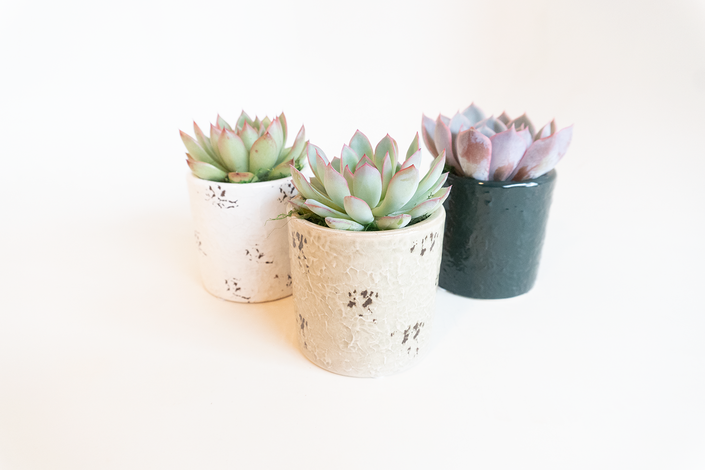 Distressed Dolomite Succulent Planter