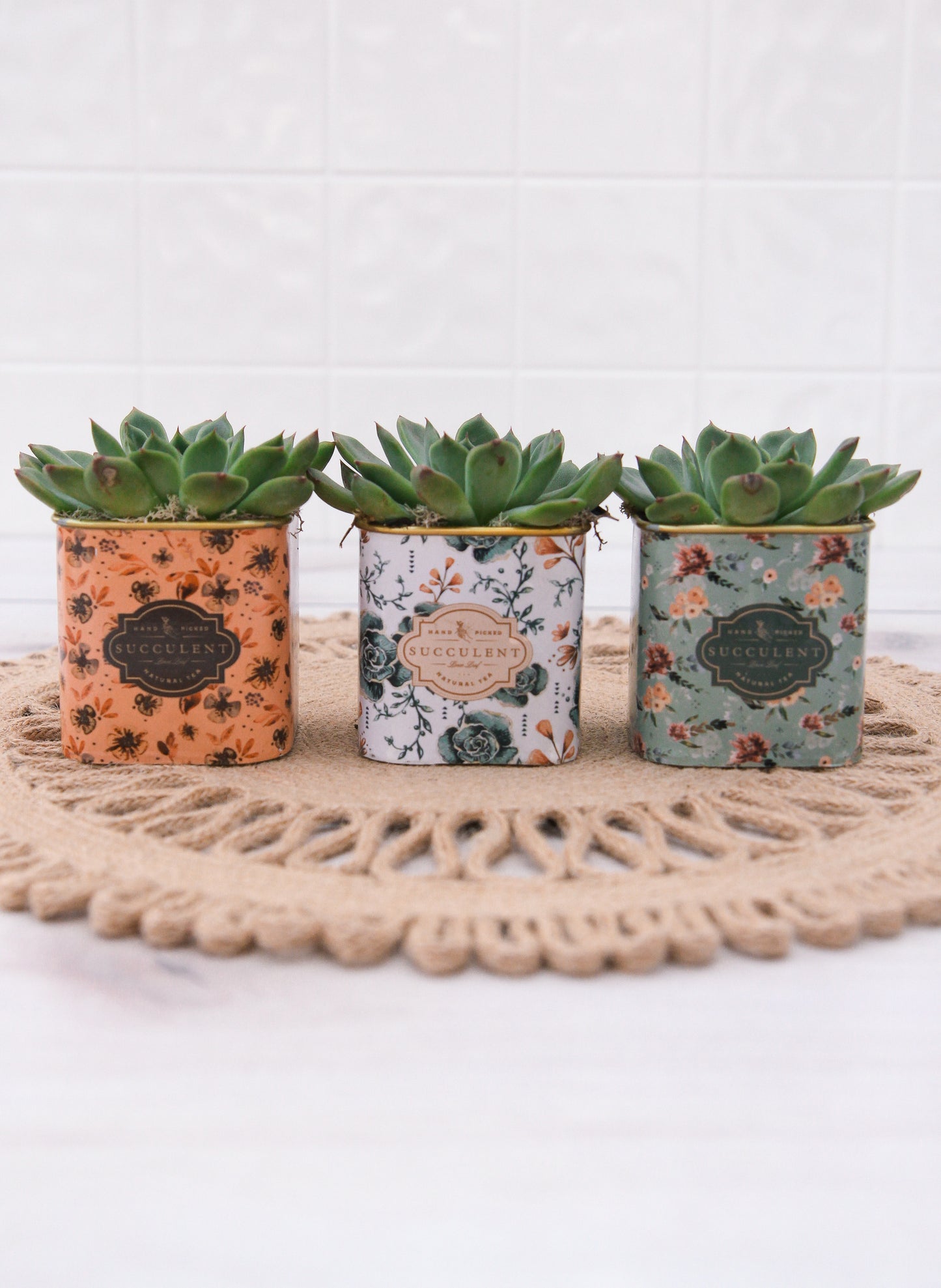 Floral Tea Tin Succulent Planter