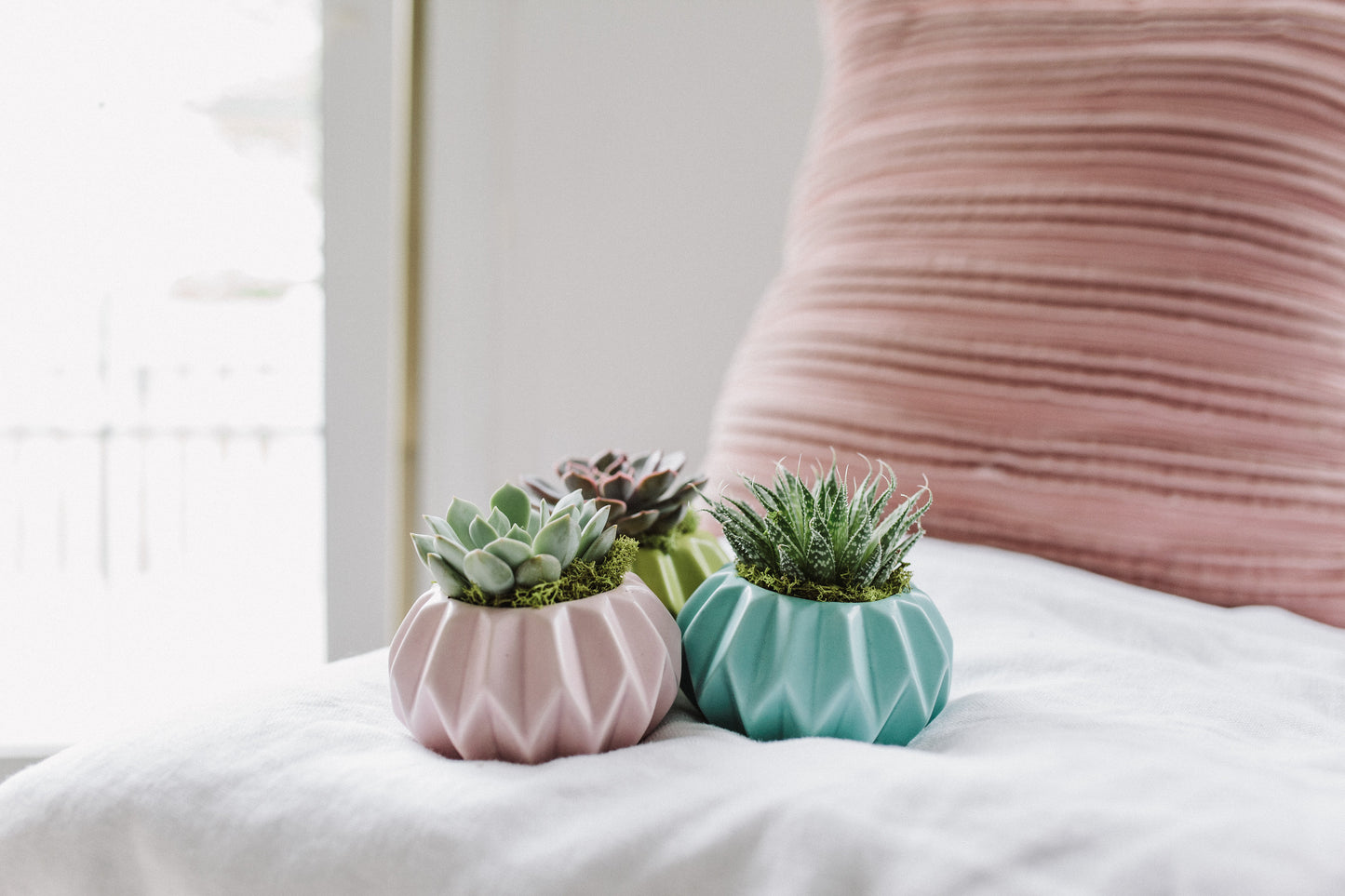 Happy Hues Succulent Planter