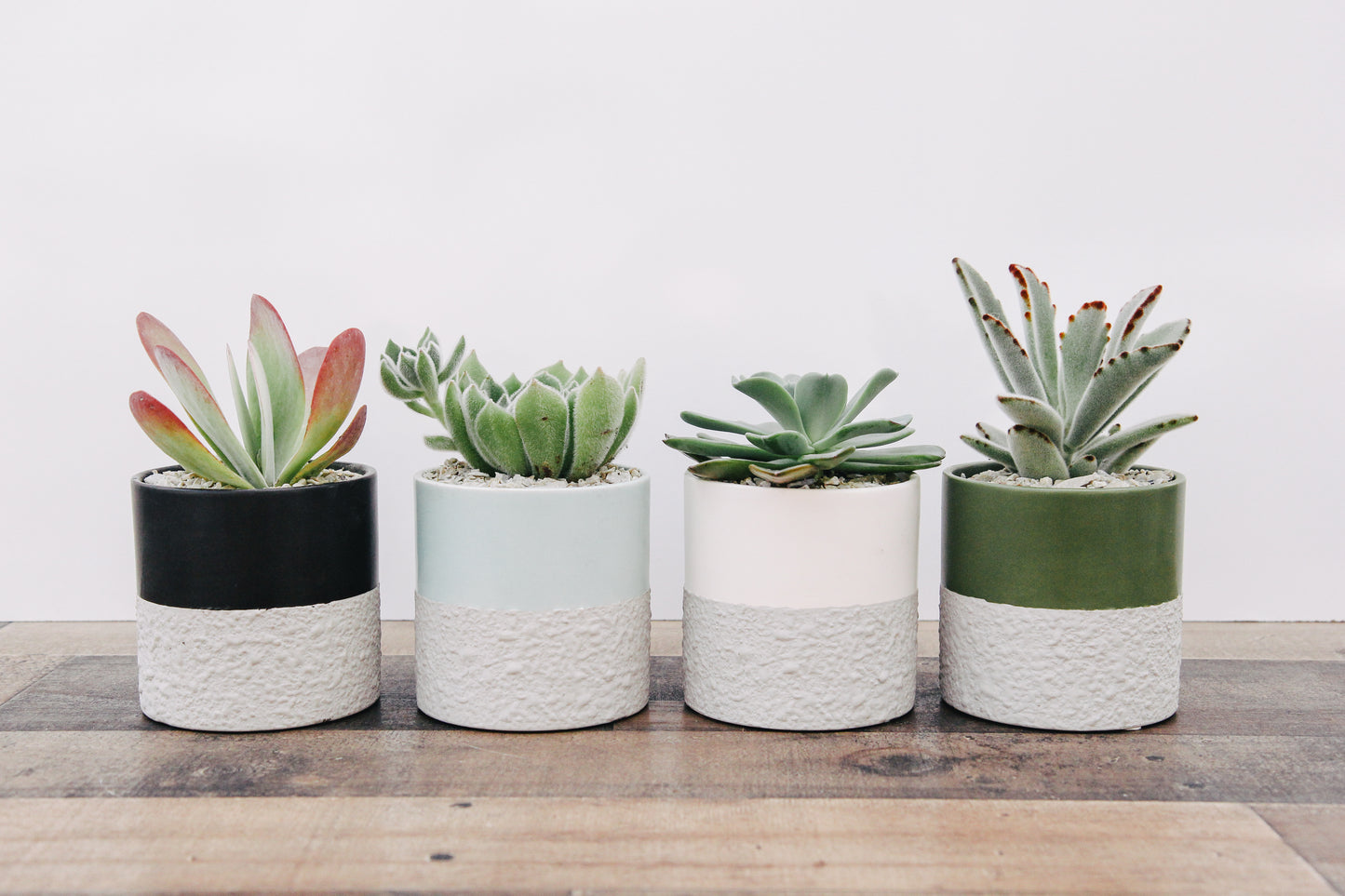 Textured Concrete Succulent Planter