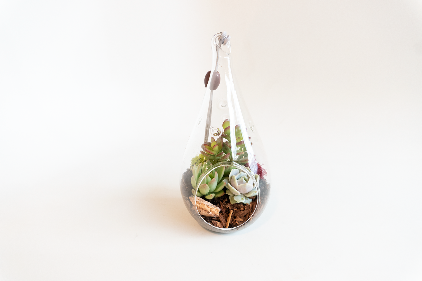 Teardrop Succulent Terrarium