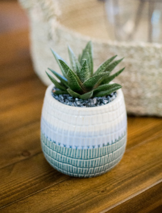 Ocean Tides Succulent Planter