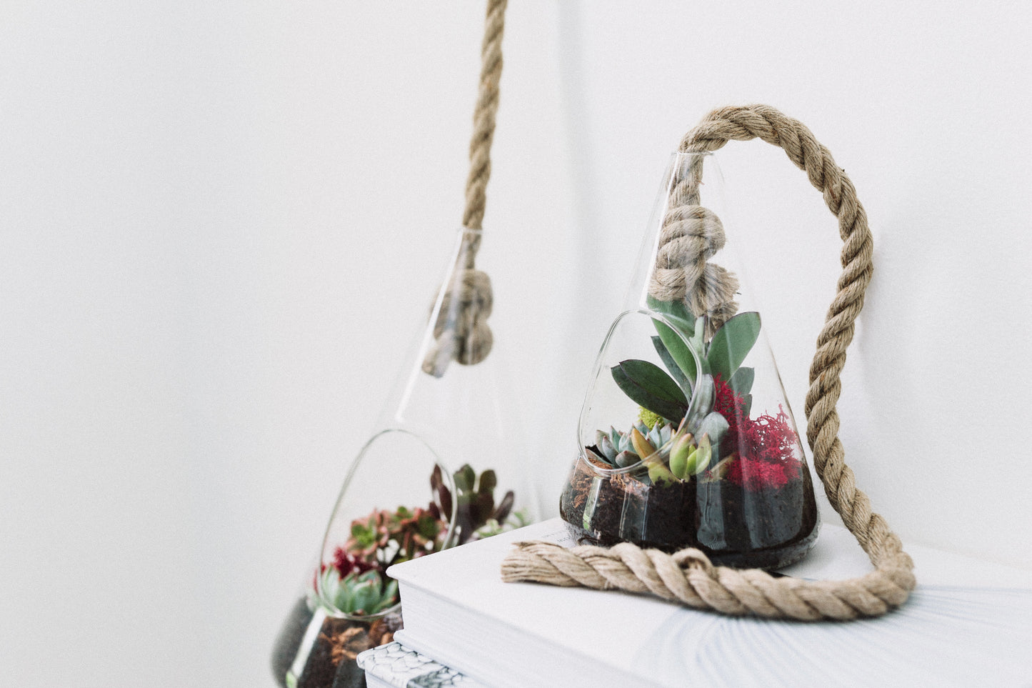 Rope Hanging Terrarium