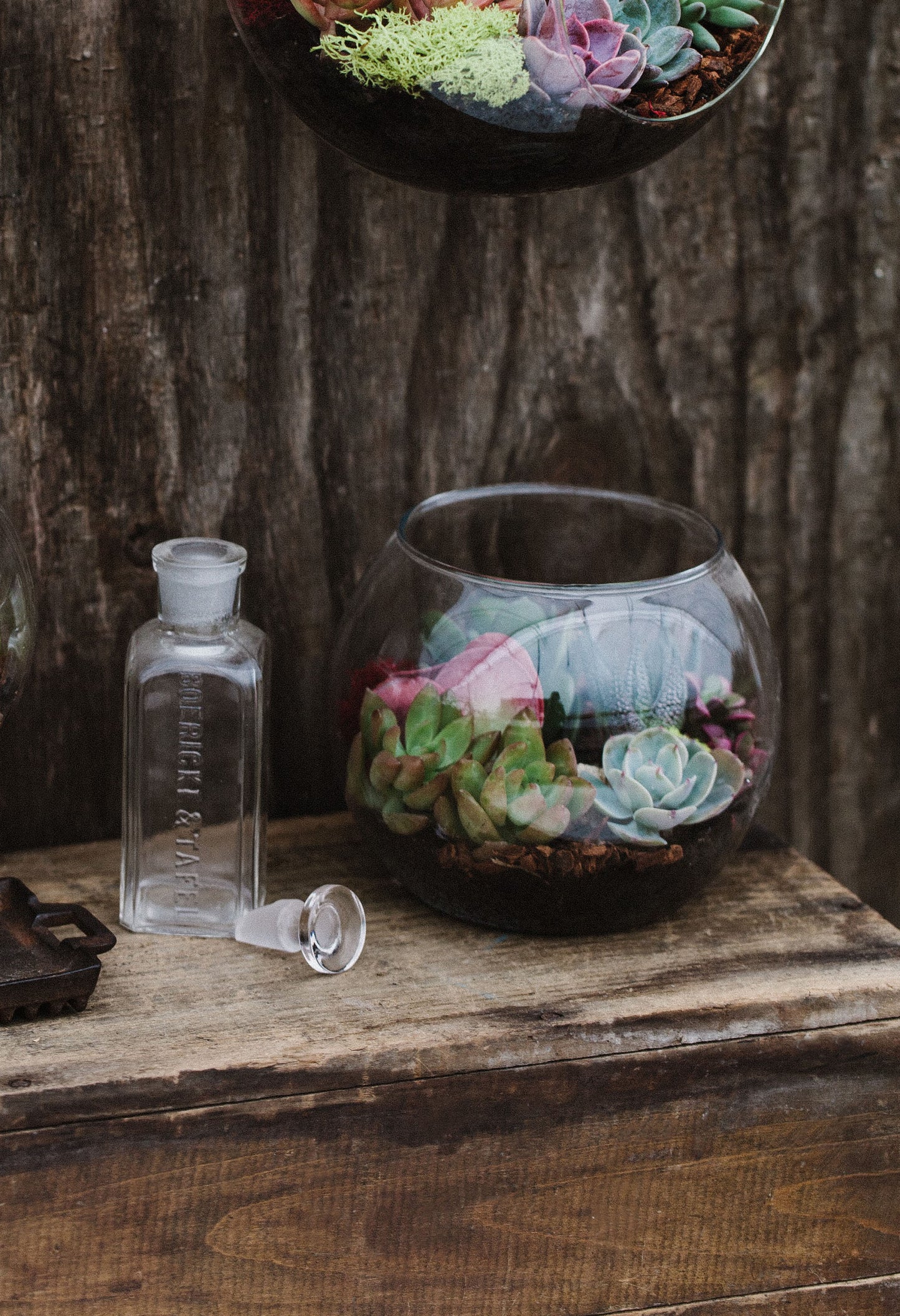 Round Freestanding Succulent Terrarium