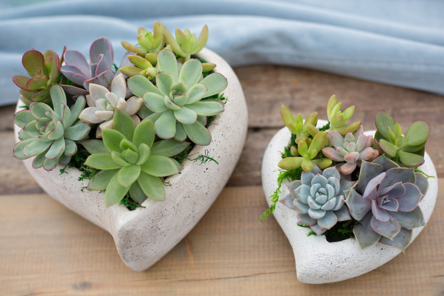 Concrete Heart Succulent Garden