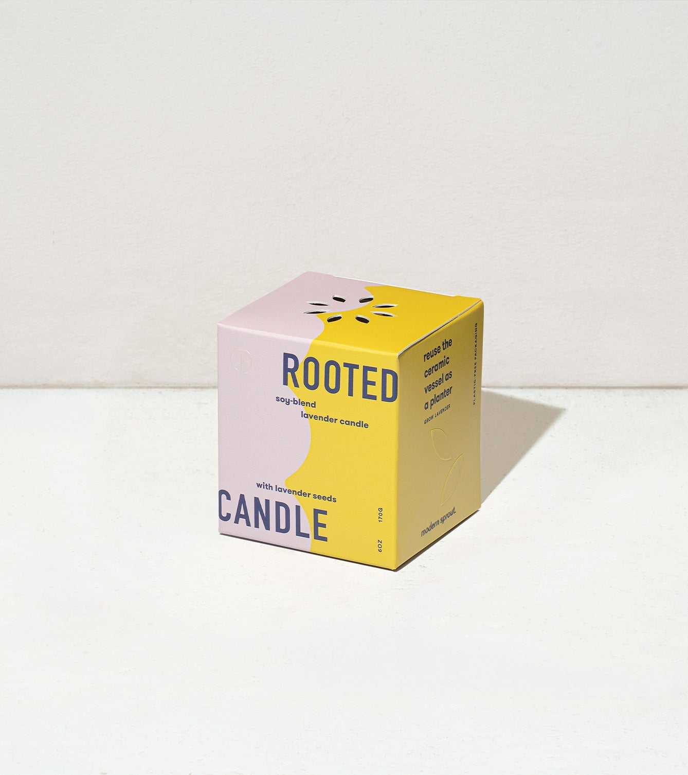 Rooted Candles