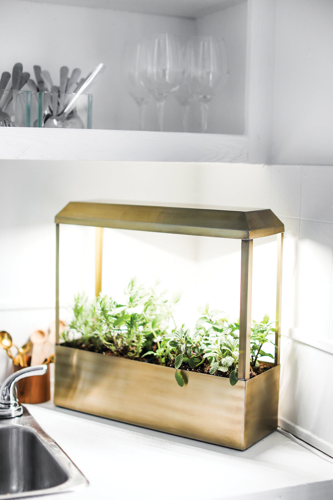 Smart Growhouse