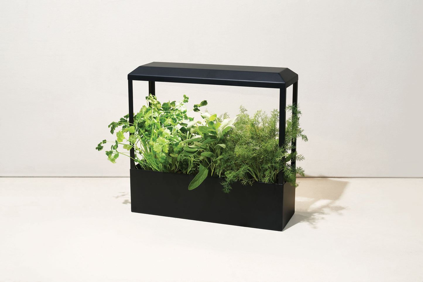 Smart Growhouse