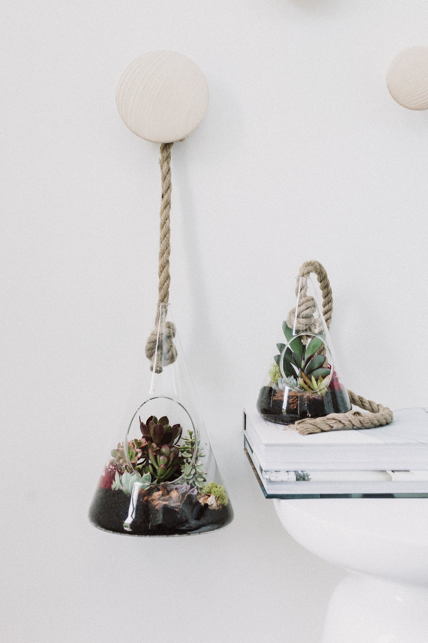 Rope Hanging Terrarium